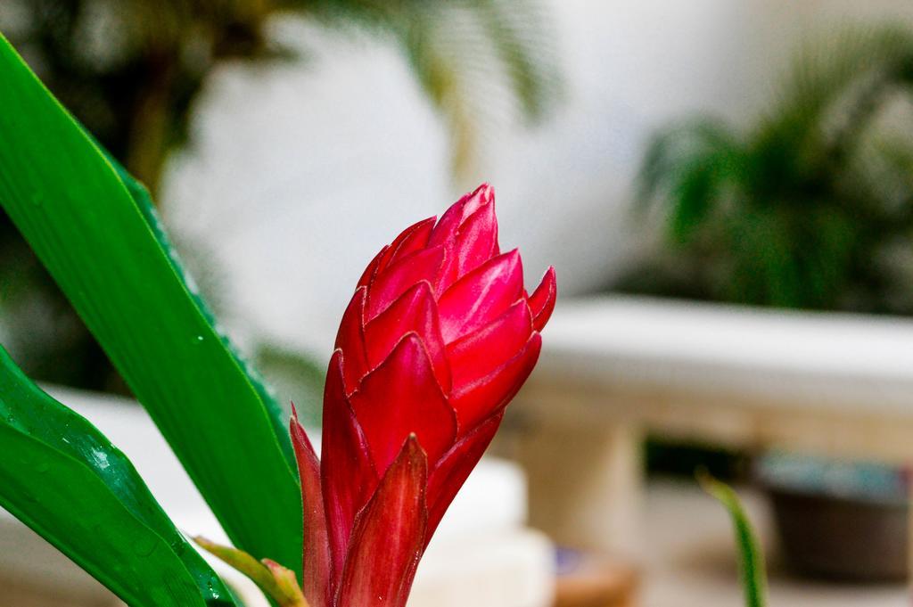 Hotel Aldea Del Bazar & Spa Puerto Escondido  Buitenkant foto