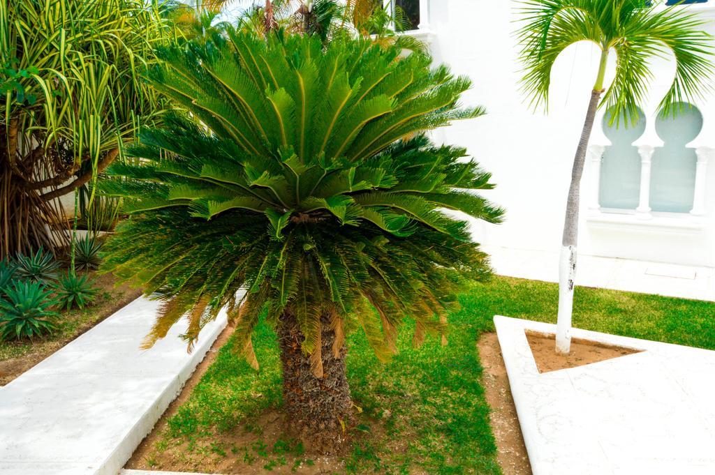 Hotel Aldea Del Bazar & Spa Puerto Escondido  Buitenkant foto